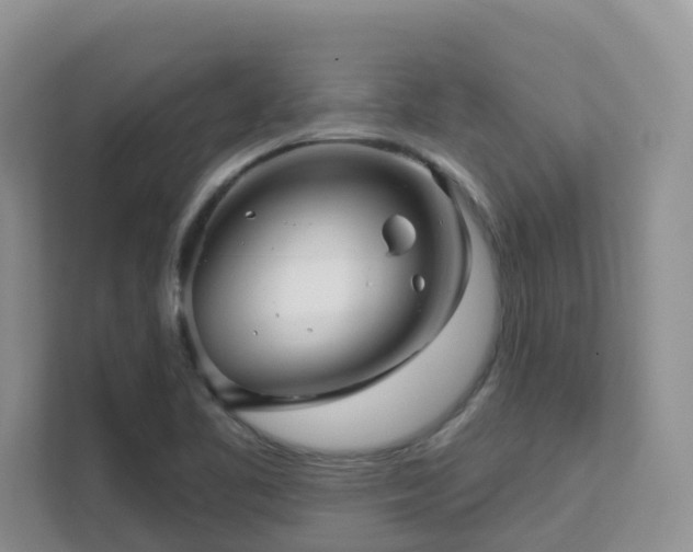 X0000111621461200907171234
