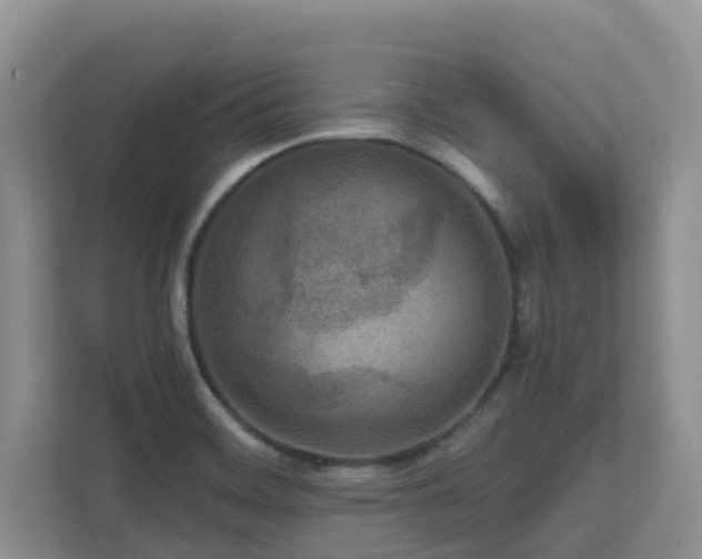 X0000111621468200907171234