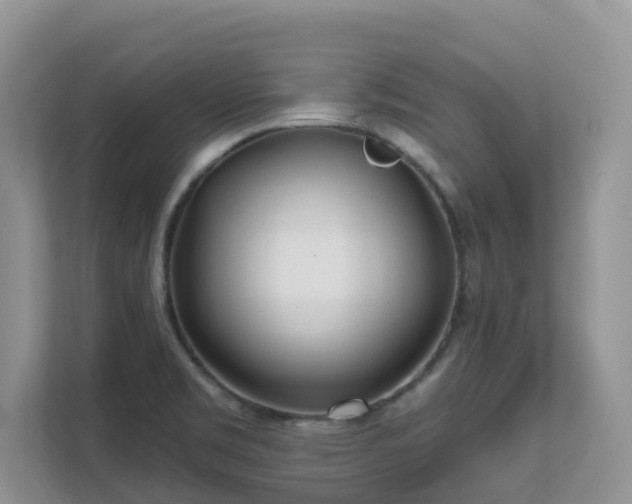 X0000111621469200907171234