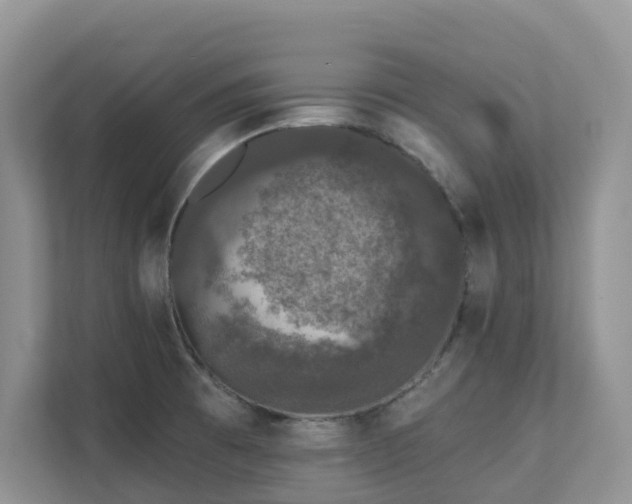 X0000111621473200907171234