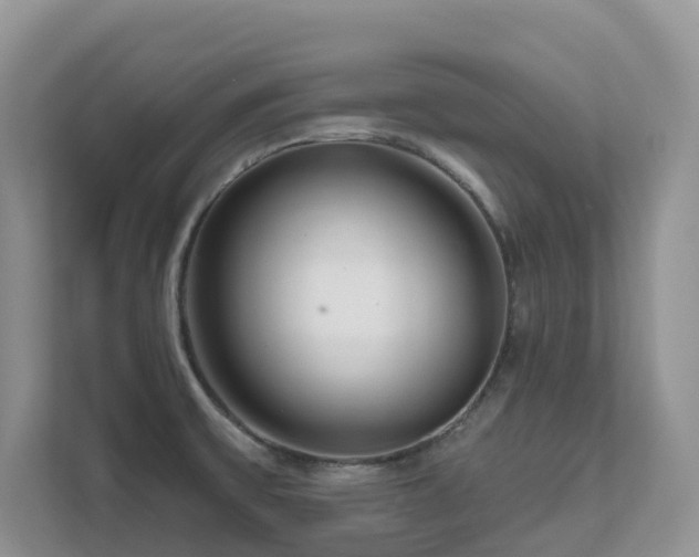 X0000111621475200907171234