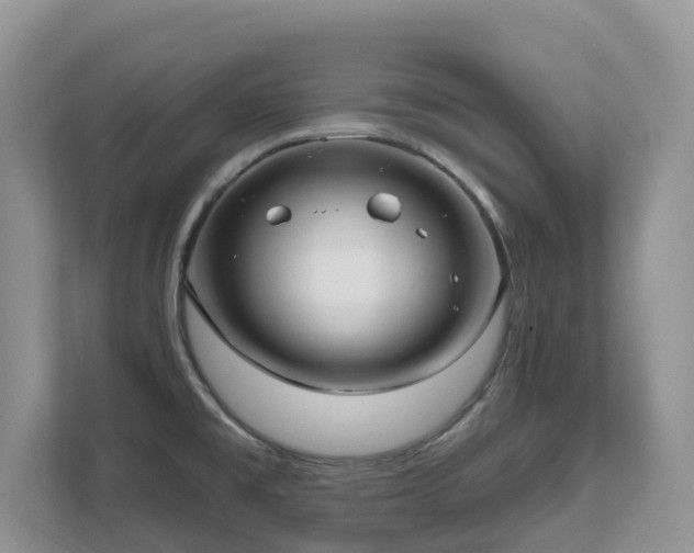 X0000111621477200907171234