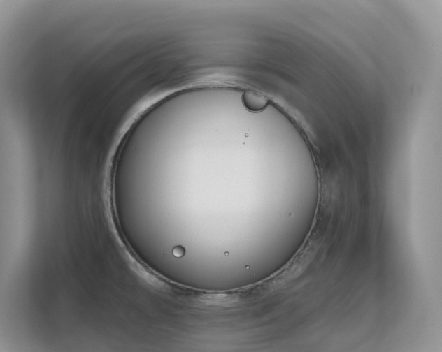 X0000111621478200907171234