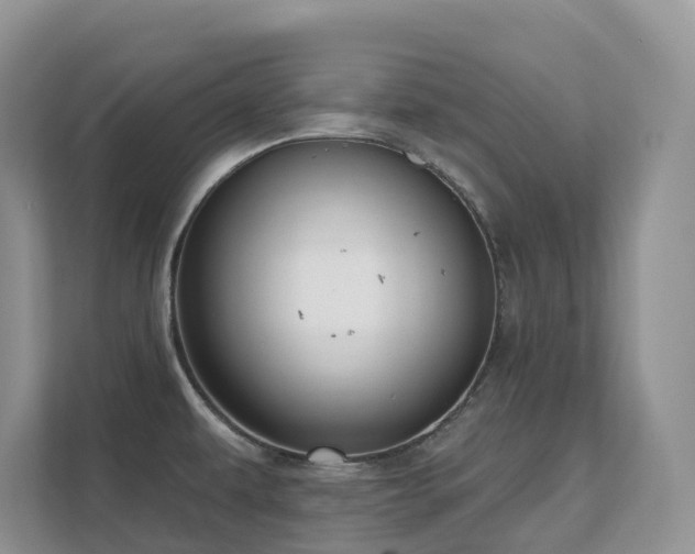 X0000111621479200907171234