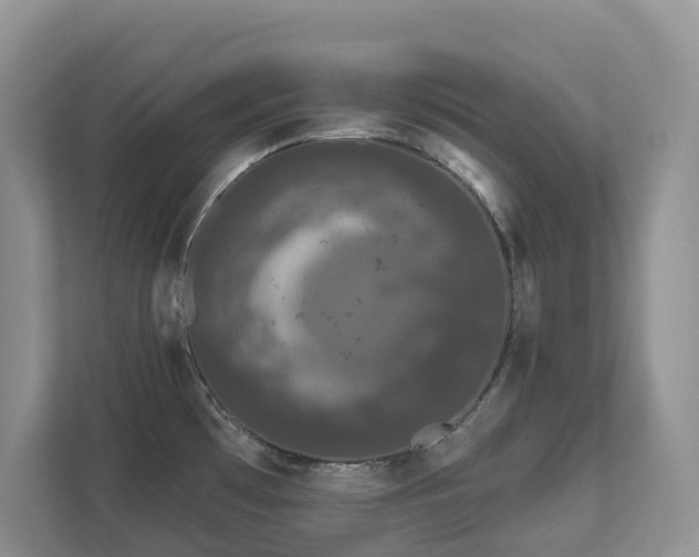 X0000111621481200907171234