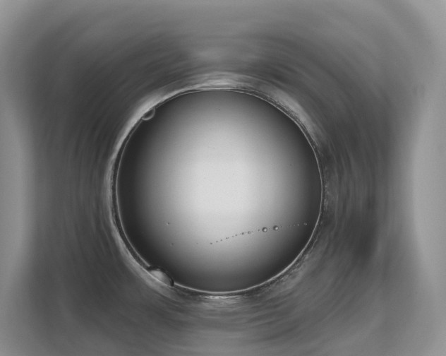 X0000111621483200907171234
