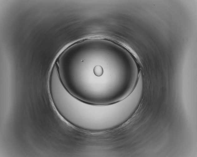 X0000111621484200907171234