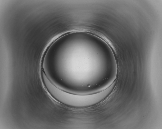 X0000111621485200907171234