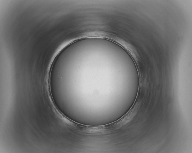 X0000111621486200907171234