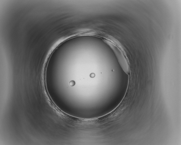 X0000111621488200907171234
