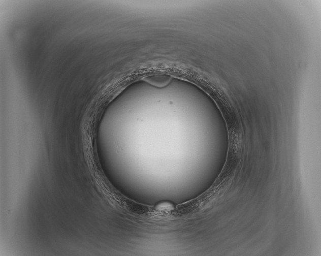 X0000111621489200907171233