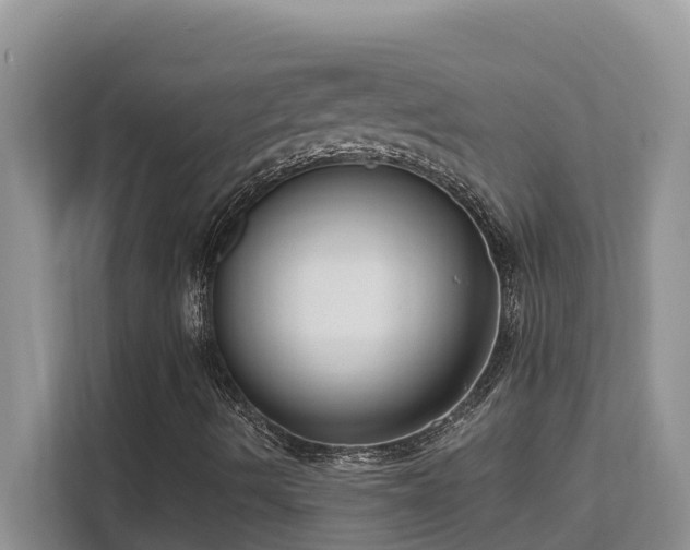 X0000111621490200907171233