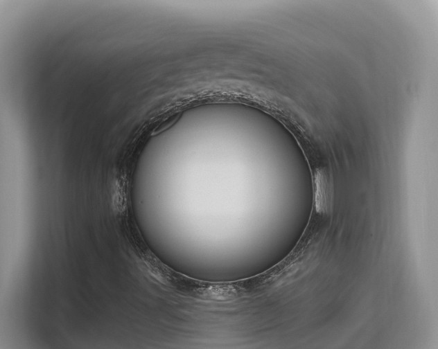 X0000111621491200907171233