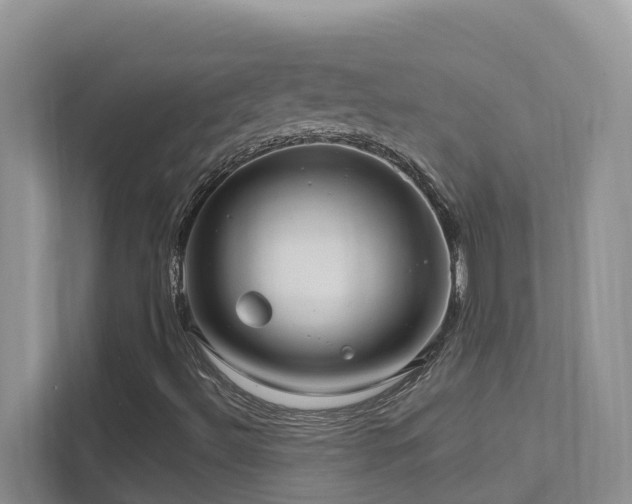 X0000111621492200907171233