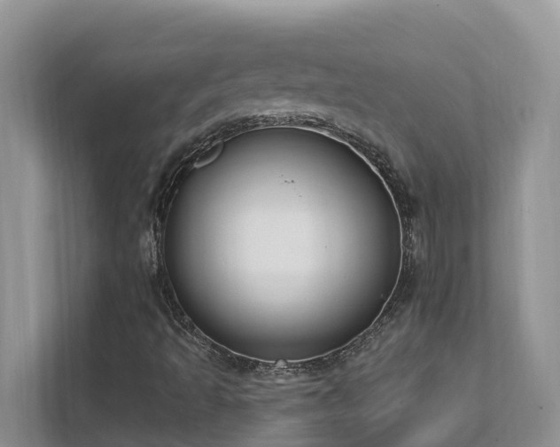 X0000111621493200907171233