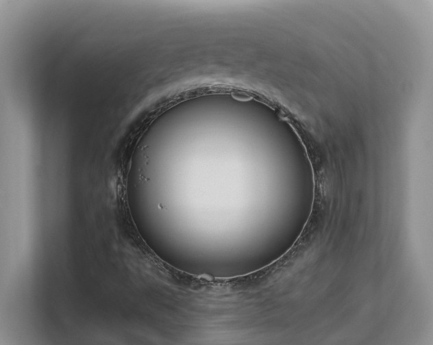 X0000111621495200907171233