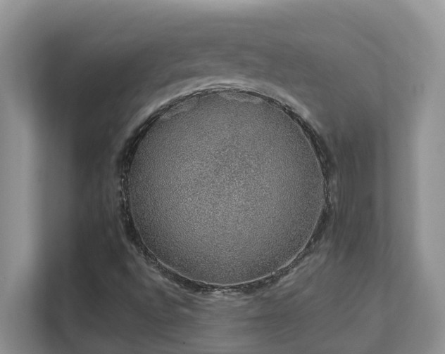 X0000111621496200907171233