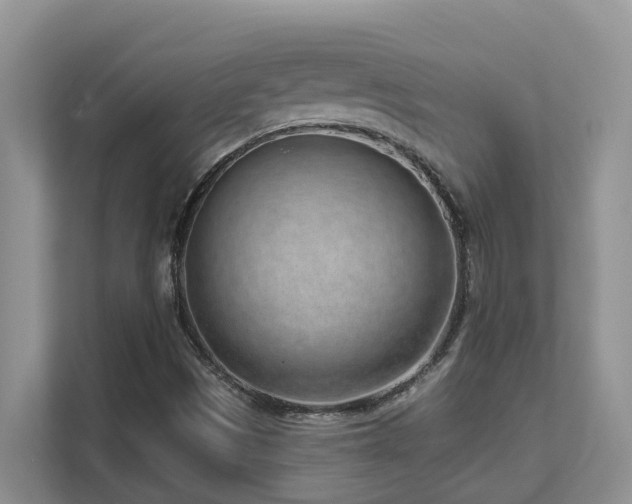 X0000111621497200907171233
