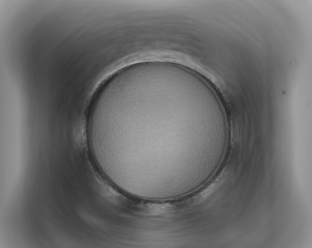 X0000111621498200907171233