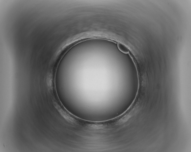 X0000111621499200907171233