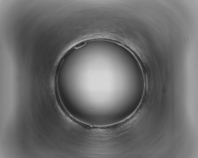 X0000111621500200907171233