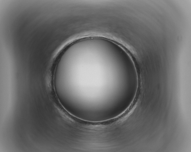 X0000111621502200907171233