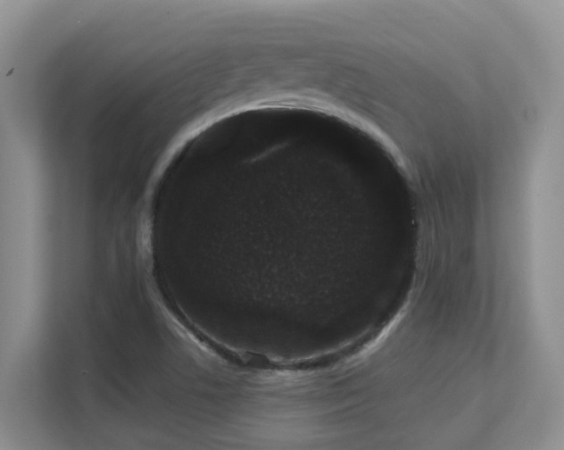 X0000111621506200907171233