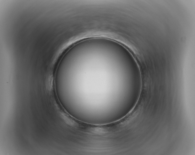 X0000111621507200907171233
