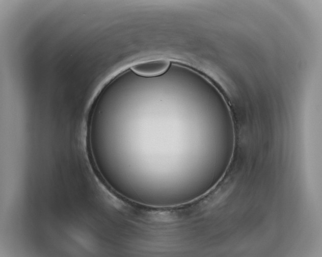 X0000111621508200907171233