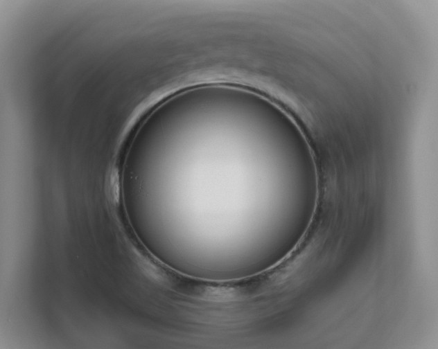 X0000111621509200907171233