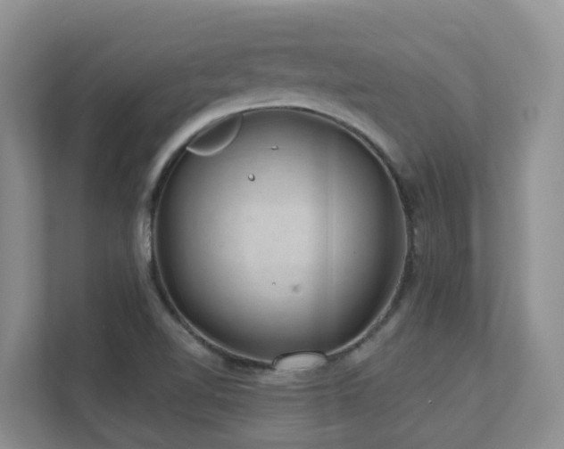 X0000111621510200907171233