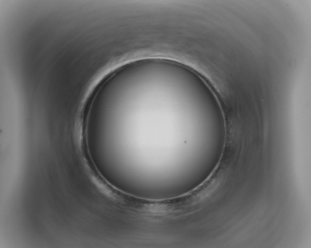 X0000111621511200907171233