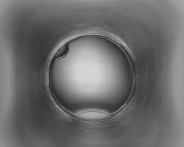 X0000111621512200907171233