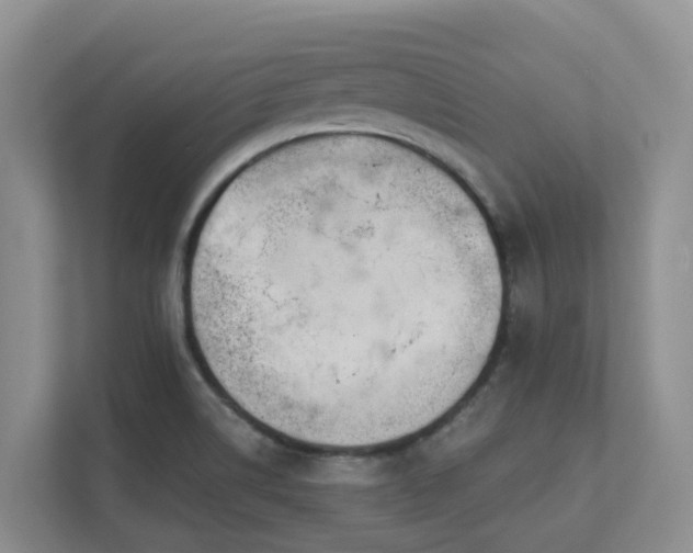 X0000111621514200907171233
