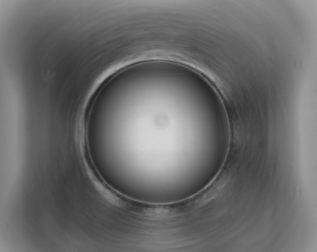 X0000111621515200907171233