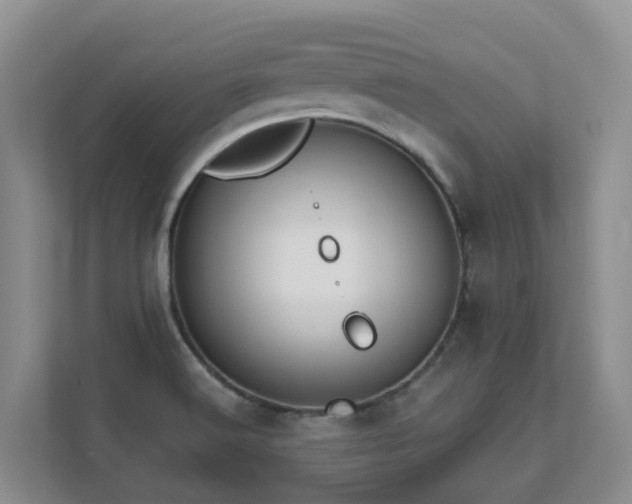 X0000111621516200907171233