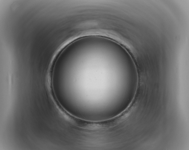 X0000111621517200907171233