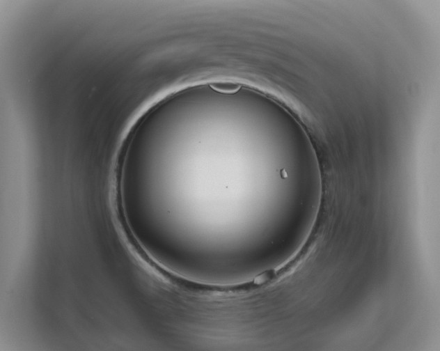 X0000111621518200907171234