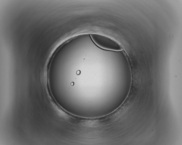 X0000111621519200907171234