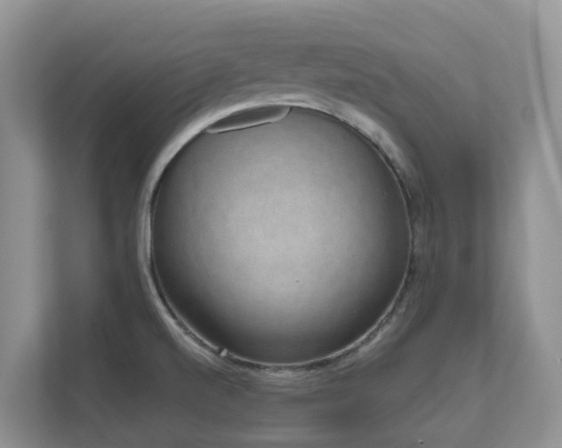 X0000111621520200907171234