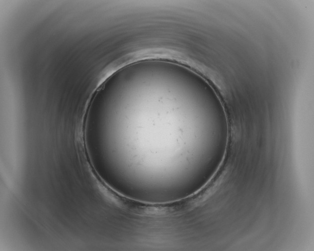 X0000111621521200907171234