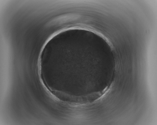 X0000111621522200907171234