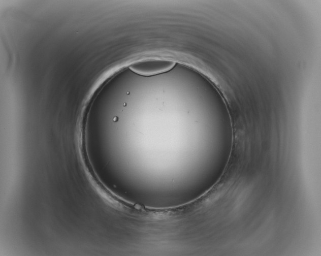 X0000111621523200907171234