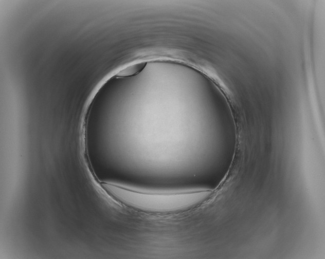 X0000111621524200907171234