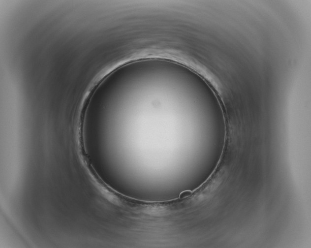 X0000111621525200907171234