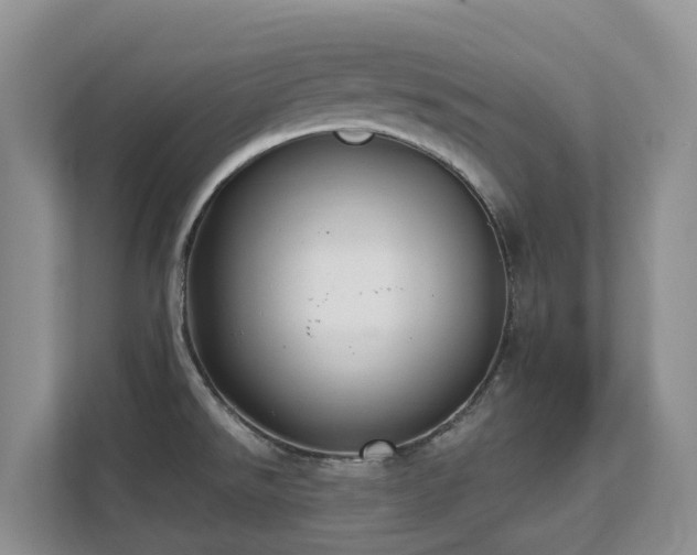 X0000111621526200907171234