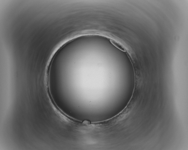 X0000111621527200907171234