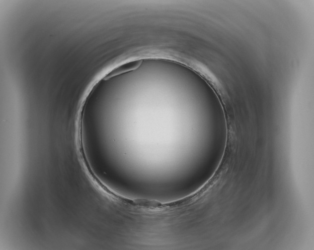 X0000111621528200907171234