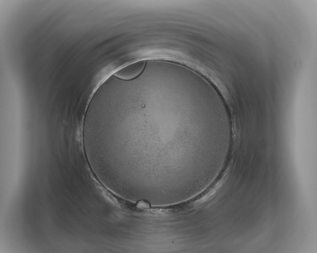 X0000111621529200907171234