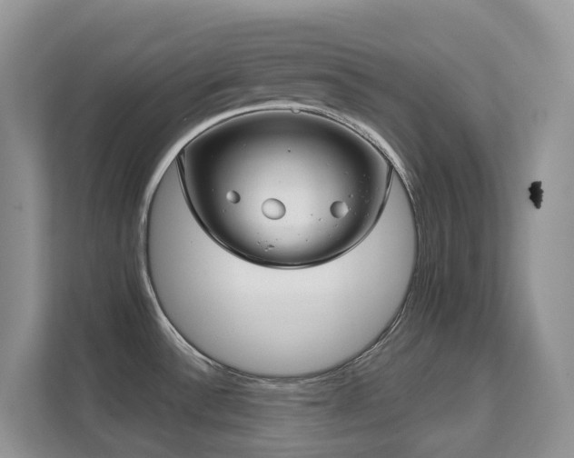 X0000111621532200907171234